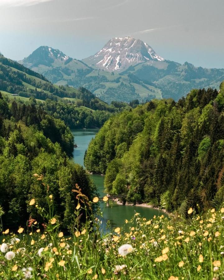 Chalet Apartment Serenity Lodge Шарме Екстер'єр фото