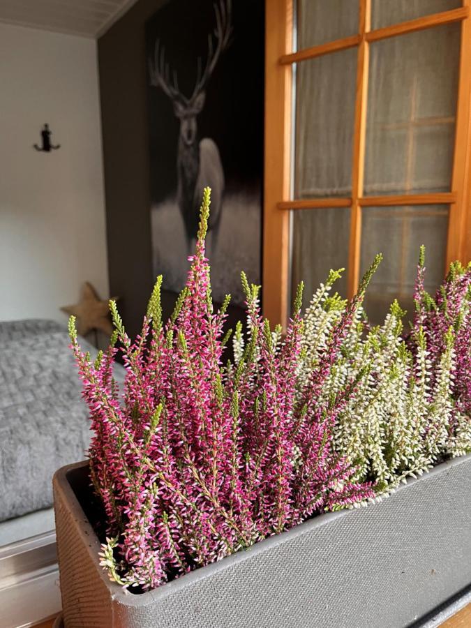 Chalet Apartment Serenity Lodge Шарме Екстер'єр фото